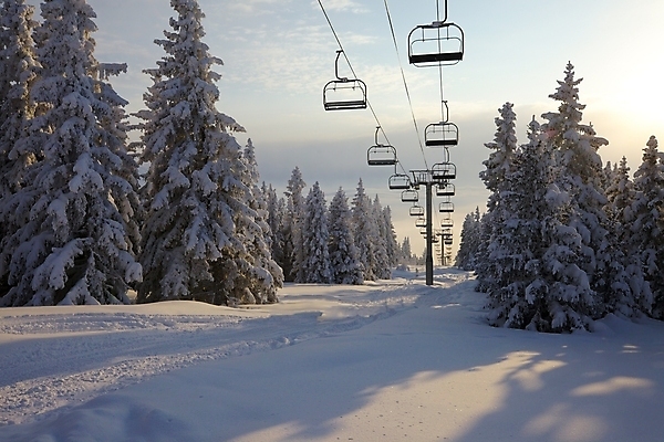 포토 JPG 해외이미지 나무 라이프스타일 스포츠 여행 겨울 의자 휴가 스키 산 사람 앉기 풍경 경사 사람없음 야외 추위 안개 흰색 정상 숲 휴양지 상승 리프트 스키선수 지역 선로 눈내림 해외202004 해외포토 식물 계절 컬러 가구 컨셉 모션 날씨 겨울스포츠 운동선수 눈_날씨 생활 장소 파일형식 이미지허브