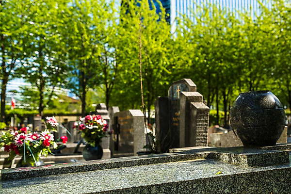 포토 JPG 해외이미지 전통 꽃 오렌지 사람없음 컬러풀 봄 슬픔 가을 흰색 죽음 무덤 비석 심볼 묘사 과거 대리석 기념물 천연기념물 장례 장례식 장식함 추모 많음 해외202004 해외포토 식물 계절 감정 컬러 컨셉 과일 재료 파일형식 이미지허브