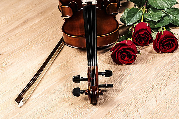 포토 JPG 해외이미지 사람없음 장미 우아함 바이올린 나무바닥 바이올린활 해외202004 해외포토 꽃 컨셉 현악기 바닥 파일형식 이미지허브
