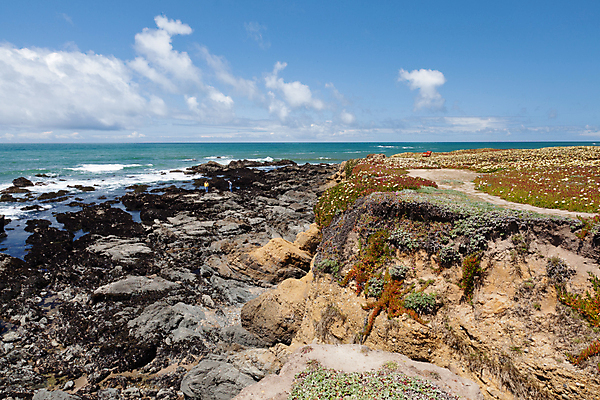 포토 JPG 해외이미지 주간 구름 해외풍경 바다 하늘 사람없음 야외 미국 바위 캘리포니아 수평선 해외202004 해외포토 자연요소 해외 북아메리카 풍경 돌_바위 파일형식 이미지허브