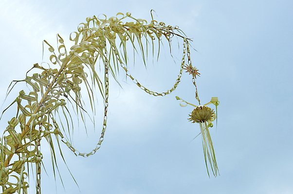 포토 JPG 해외이미지 모양 나무 식물 건축물 배너 꽃잎 아시아 문화 선 결혼 백그라운드 잎 자연 하늘 휴가 손바닥 그림자 사람없음 장식 초록색 파란색 노란색 파티 성장 신선 재산 심볼 대나무 유기농 인도네시아 코코넛 봉 내추럴 이국적 핸드메이드 해외202004 해외포토 손 웰빙 건축 꽃 나라 컬러 과일 이벤트 금융 생태계 파일형식 이미지허브