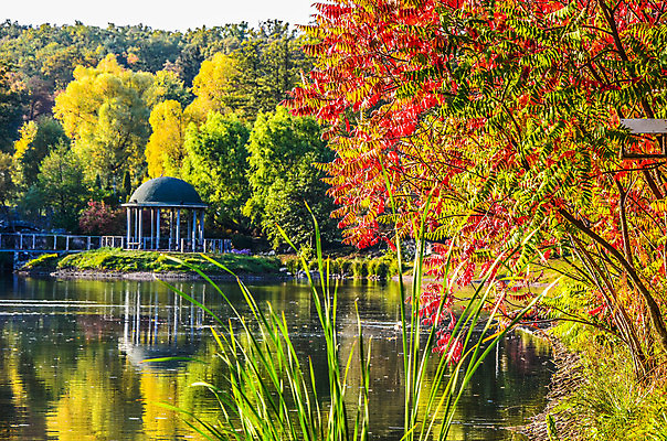 포토 JPG 해외이미지 나무 식물 계절 공원 호수 여행 백그라운드 단풍 잎 밭 오렌지 자연 하늘 휴식 풍경 사람없음 야외 목재 빨간색 초록색 물 파란색 강 컬러풀 햇빛 반사 노란색 평화 맑음 침묵 가을 시골 연못 황금 숲 9월 장면 10월 내추럴 해외202004 해외포토 자연요소 공공시설 컬러 컨셉 농업 과일 재료 날씨 태양 소리 날짜 생태계 파일형식 이미지허브