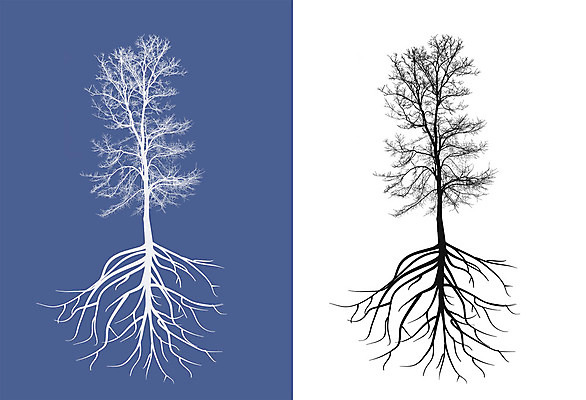 포토 JPG 해외이미지 모양 나무 식물 디자인 실루엣 줄기 겨울 자연 건조 사람없음 목재 그래픽 검은색 성장 가을 나뭇가지 숲 그림 심플 윤곽 뿌리 엘리먼트 해외202004 해외포토 계절 컬러 재료 촬영기법 생태계 파일형식 이미지허브