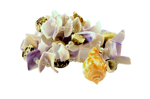 포토 JPG 해외이미지 목걸이 팔찌 사람없음 해외202004 해외포토 장신구 파일형식 이미지허브