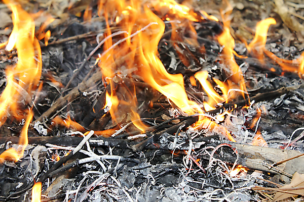 포토 JPG 해외이미지 백그라운드 패턴 오렌지 모션 자연 벽지 추상 프레임 따뜻함 사람없음 빨간색 빛 컬러풀 노란색 검은색 어둠 힘 에너지 긴급 뜨거움 더위 야간 위험 모닥불 폭발 묘사 벽난로 질감 매움 화재 열정 연료 소화기 고립 봉황 엘리먼트 점화 지옥 화상 해외202004 해외포토 자연요소 감정 컬러 컨셉 무늬 과일 불 날씨 맛 상처 안전장비 소방 사건 생태계 파일형식 이미지허브