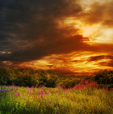 포토 JPG 해외이미지 구름 계절 꽃 백그라운드 밭 농업 오렌지 자연 하늘 풍경 사람없음 야외 빨간색 초록색 여름 빛 농작물 햇빛 태양 농장 농경지 노란색 일출 환경 맑음 황혼 일몰 봄 새벽 수확 시골 황금 땅 장면 내추럴 밭일 수평선 해외202004 해외포토 자연요소 식물 산업 컬러 과일 날씨 노을 생태계 파일형식 이미지허브