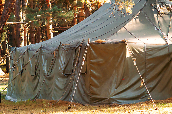 포토 JPG 해외이미지 나무 공원 여행 밭 자연 아침 모바일 휴가 휴식 텐트 사람없음 야외 초록색 빛 태양 환경 시골 소나무 황무지 숲 탈출 캠핑장 군용 캔버스 장면 주말 변장 내추럴 전국 차양 생존 해외202004 해외포토 주간 자연요소 식물 공공시설 컬러 컨셉 농업 군대 캠핑도구 캠핑 생태계 파일형식 이미지허브
