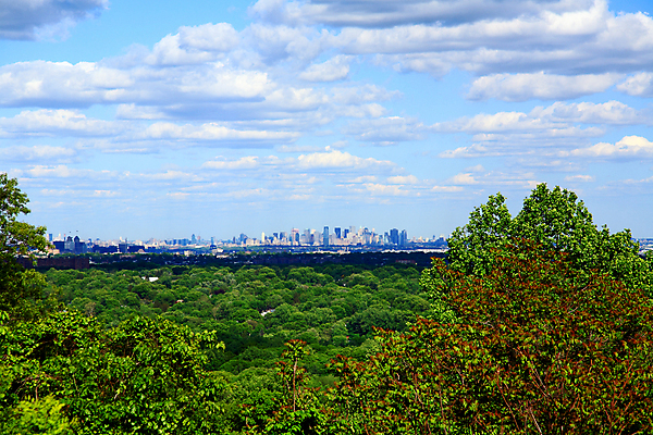 포토 JPG 해외이미지 나무 식물 구름 도로 여행 백그라운드 자연 하늘 바람 날씨 새로움 산 풍경 사람없음 야외 초록색 여름 파란색 컬러풀 태양 환경 맑음 봄 흰색 시골 신선 땅 언덕 예약 넘어짐 저지 수평선 해외202004 해외포토 자연요소 계절 길 컬러 컨셉 교통시설 모션 생태계 파일형식 이미지허브