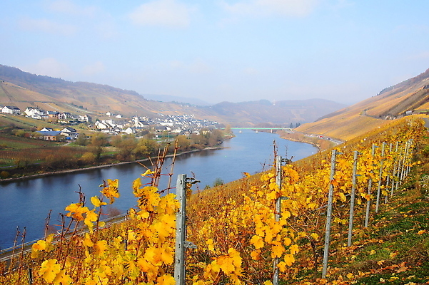 포토 JPG 해외이미지 사람없음 해외202004 해외포토 파일형식 이미지허브