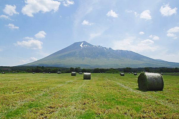포토 JPG 해외이미지 식물 구름 계절 밭 농업 자연 하늘 건조 풍경 사람없음 여름 농작물 농장 농경지 수확 시골 볏짚 먹이 낟알 롤 밀짚 내추럴 밭일 해외202004 해외포토 자연요소 산업 짚 생태계 파일형식 이미지허브