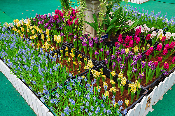 포토 JPG 해외이미지 디자인 외관 꽃 자연 주택 풍경 잔디 사람없음 야외 장식 초록색 여름 평화 정원 침묵 매력적 벚꽃 바위 백합 원예 조경 화단 내추럴 영원 원예사 해외202004 해외포토 식물 직업 계절 컬러 컨셉 취미 건물 소리 돌_바위 생태계 파일형식 이미지허브