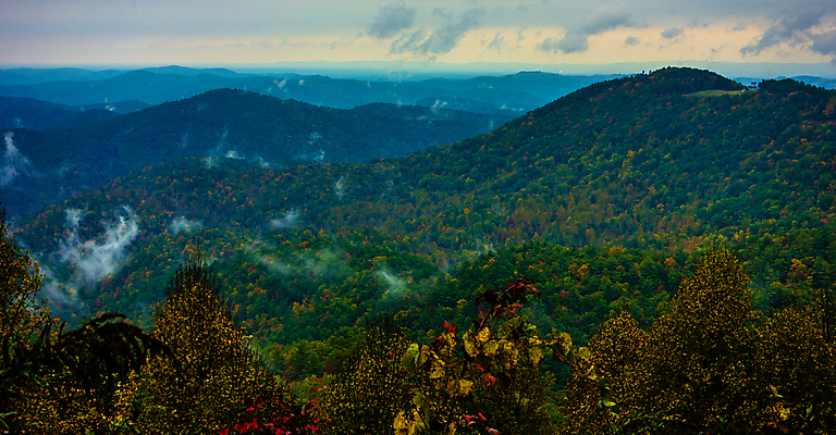 포토 JPG 해외이미지 계절 여행 오렌지 자연 무선통신 국립공원 사람없음 빨간색 초록색 컬러풀 노란색 놀람 운전 안개 가을 해외202004 해외포토 공원 감정 컬러 과일 통신 모션 날씨 표정 생태계 파일형식 이미지허브