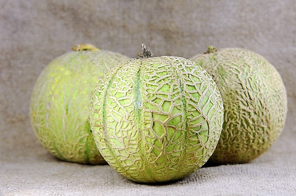 포토 JPG 해외이미지 음식 다이어트 채소 과일 건강 사람없음 초록색 물 신선 달콤 멜론 지중해 유기농 날것 프랑스어 숙성 해외202004 해외포토 자연요소 문자 웰빙 바다 컬러 맛 파일형식 이미지허브