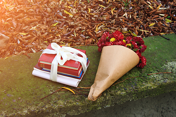 포토 JPG 해외이미지 계절 꽃잎 꽃 꽃다발 백그라운드 잎 자연 국화 사람없음 장식 책 빨간색 초록색 노란색 쌓기 가을 흰색 개화 데이지 해외202004 해외포토 식물 컬러 모션 생태계 파일형식 이미지허브