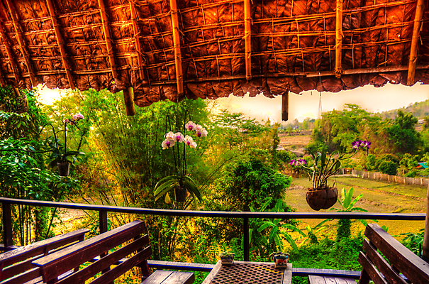 포토 JPG 해외이미지 식물 외관 공원 꽃 아시아 여행 꽃무늬 건축양식 태국 호텔 지붕 휴가 휴식 주택 손바닥 동양인 풍경 사람없음 야외 건물 장식 초록색 여행객 정원 일본 신선 오두막 빌라 타일 시골집 휴양지 발리 해외202004 해외포토 건축물 손 공공시설 건축 나라 컬러 섬 컨셉 무늬 숙소 사람 인종 장소 인도네시아 파일형식 이미지허브