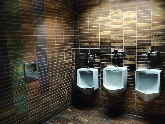 포토 JPG 해외이미지 남자 추상 휴식 실내 사람없음 내부 물 머리 금속 목욕 방 회색 욕실 흰색 장롱 사발 냄비 타일 묘사 화장실 시설 변기 일반 부스 백자 변기통 철강 세련 해외202004 해외포토 자연요소 컬러 가구 컨셉 무늬 재질 사람 신체부위 청결 도자기 사기그릇 솥 파일형식 이미지허브