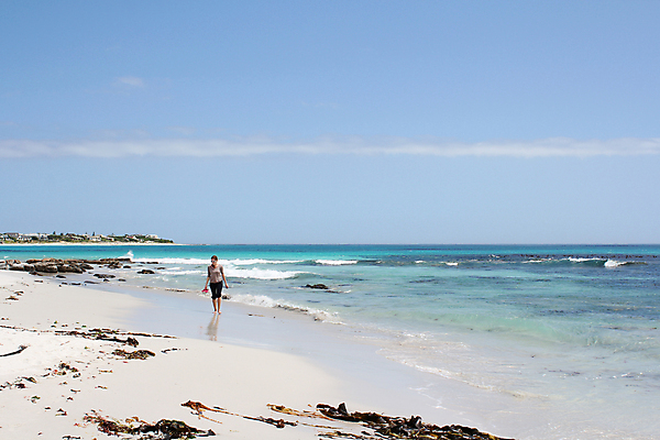 포토 JPG 해외이미지 응시 여자 모래 바다 아프리카 자연 하늘 바람 날씨 휴식 서기 사람 풍경 성인 사람없음 야외 물 여름 걷기 산책 관찰 장면 남아프리카 케이프타운 파라다이스 해외202004 해외포토 자연요소 시선 계절 나라 컨셉 모션 생태계 남아프리카공화국 파일형식 이미지허브