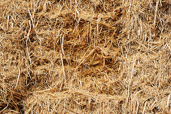 포토 JPG 해외이미지 식물 산업 백그라운드 패턴 밭 농업 자연 추상 프레임 건조 사람없음 가로 여름 농작물 갈색 노란색 수확 가을 시골 황금 건초더미 볏짚 결심 낟알 시리얼 밀 심볼 질감 장면 노력 문제 뭉치 밀짚 해결 흙더미 발견 해외202004 해외포토 계절 음식 컬러 컨셉 무늬 곡류 흙 건초 짚 생태계 파일형식 더미 이미지허브