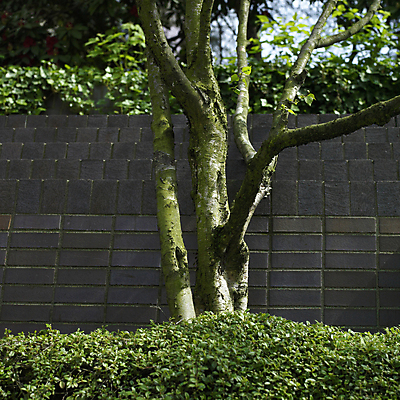 포토 JPG 해외이미지 주간 나무 디자인 공원 선 벽 잎 휴식 벽돌 건조 그림자 사람없음 야외 초록색 울타리 평화 정원 힘 침묵 도시 전철 큼 그늘 조경 나무껍질 대도시 평행 깊이 오아시스 그리너리 해외202004 해외포토 자연요소 식물 공공시설 육상교통 컬러 컨셉 대중교통 담장 소리 껍질 크기 파일형식 트랜드컬러 이미지허브