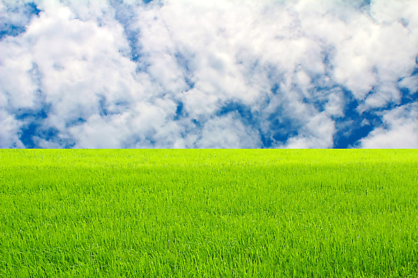 포토 JPG 해외이미지 구름 백그라운드 자연 하늘 날씨 사람없음 여름 파란색 빛 햇빛 우주 환경 맑음 흰색 천국 솜털 해외202004 해외포토 자연요소 계절 컬러 태양 생태계 파일형식 이미지허브