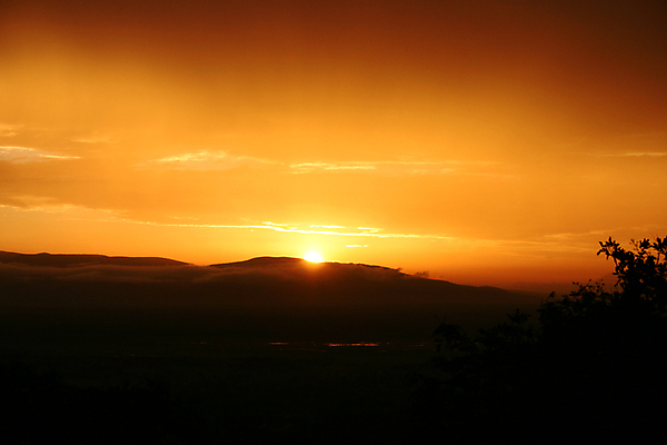 포토 JPG 해외이미지 나무 식물 공원 야생동물 여행 아프리카 자연 하늘 풍경 사람없음 야외 초록색 여름 태양 일출 환경 검은색 일몰 새벽 황무지 사파리 케냐 남쪽 내추럴 사바나 세렝게티 전국 탄자니아 해외202004 해외포토 자연요소 동물 계절 공공시설 나라 컬러 노을 방향 생태계 파일형식 이미지허브