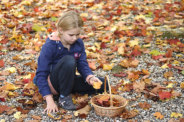 포토 JPG 해외이미지 공원 얼굴 어린이 백그라운드 셔츠 오렌지 독일 한명 10대 가로 세로 초록색 금발 노란색 귀걸이 검은색 입 소프트포커스 8 작음 큼 만족 7 천진난만 해외202004 해외포토 1 헤어스타일 공공시설 감정 유럽 컬러 컨셉 상의 과일 장신구 청소년 촬영기법 사람 신체부위 숫자 크기 파일형식 이미지허브