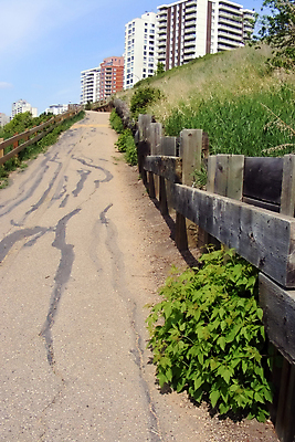포토 JPG 해외이미지 나무 식물 라이프스타일 외관 공원 도로 길 잎 자국 자연 풍경 사람없음 야외 초록색 여름 빛 평화 걷기 환경 맑음 침묵 고요 봄 산책 하이킹 신선 초대 장면 내추럴 방법 그리너리 해외202004 해외포토 계절 공공시설 컬러 컨셉 교통시설 모션 레저 날씨 휴식 생활 소리 생태계 파일형식 트랜드컬러 이미지허브