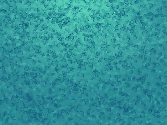 포토 JPG 해외이미지 템플릿 디자인 하늘색 백그라운드 컨셉 패턴 일러스트 비즈니스 추상 휴가 봉투 새로움 경사 사람없음 그래픽 장식 파란색 빛 컬러풀 숫자 블록 활발 표현 네트워크 신용카드 혼합 시원함 남색 은박지 질감 심플 모자이크 해외202004 해외포토 문자 컬러 무늬 금융 파일형식 이미지허브