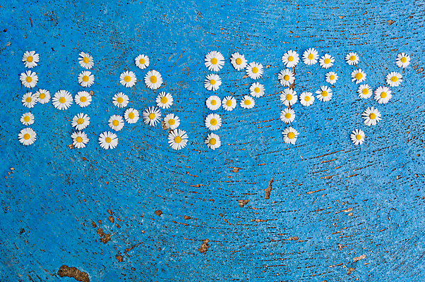 포토 JPG 해외이미지 캐릭터 알파벳 꽃 행복 감정 백그라운드 컨셉 텍스트 추상 타이포그라피 사람없음 여름 파란색 단어 세트 노란색 봄 흰색 편지 심볼 데이지 타입 엘리먼트 해외202004 해외포토 식물 문자 영어 계절 컬러 무늬 파일형식 이미지허브