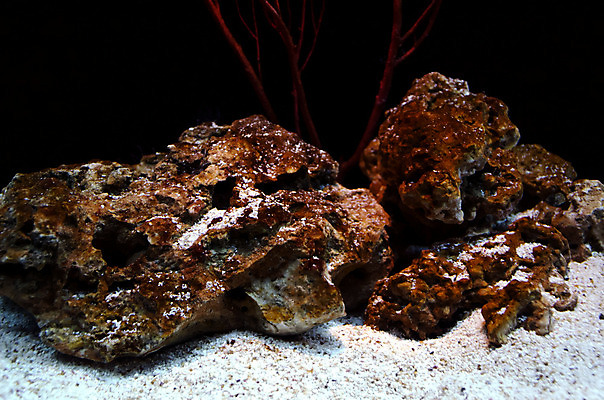 포토 JPG 해외이미지 전통 디자인 옷 모래 바다 백그라운드 패턴 바지 표면 바닥 사람없음 장식 물 파란색 유행 수중 어둠 광대 직물 도시 면 산호 남색 다이빙 질감 땀 캔버스 소금 암초 수족관 시스템 섬유 그런지 깊이 동물상 옛날 스타일 해외202004 해외포토 자연요소 컬러 무늬 하의 조형물 수영 자포동물 수중스포츠 파일형식 이미지허브