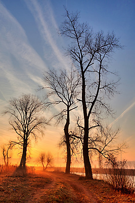 포토 JPG 해외이미지 나무 계절 공원 단풍 밭 자연 하늘 그림자 사람없음 야외 물 강 햇빛 노란색 일출 일몰 활발 안개 가을 황금 숲 장면 내추럴 해외202004 해외포토 자연요소 식물 공공시설 컬러 컨셉 잎 농업 날씨 태양 노을 생태계 파일형식 이미지허브