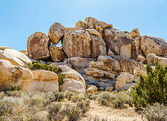 포토 JPG 해외이미지 나무 공원 자연 국립공원 풍경 사람없음 야외 여름 쌓기 사막 바위 황무지 캘리포니아 내추럴 해외202004 해외포토 식물 계절 공공시설 모션 미국 돌_바위 생태계 파일형식 이미지허브