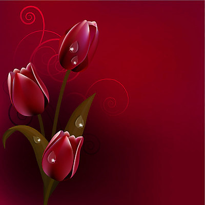 EPS 해외이미지 클립아트 식물 템플릿 배너 기념일 꽃 포스터 백그라운드 잎 꽃무늬 패턴 일러스트 자연 발렌타인데이 사랑 미술 빨간색 우주 정원 보라색 어둠 봄 튤립 벚꽃 소용돌이 인사 신용카드 생일 화려 고급 우아함 다발 그림 클립 내추럴 해외202004 해외일러스트 계절 감정 컬러 컨셉 무늬 데이이벤트 문화예술 이벤트 금융 회오리 예절 생태계 파일형식 벡터 이미지허브