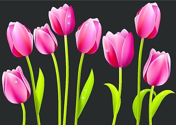 EPS 해외이미지 클립아트 식물 꽃잎 꽃 분홍색 꽃다발 백그라운드 잎 꽃무늬 일러스트 자연 부활절 기념 발렌타인데이 선물 사랑 미술 빨간색 여름 컬러풀 정원 검은색 봄 튤립 벚꽃 인사 신선 신용카드 생일 그리기 클래식 우아함 다발 오브젝트 그림 클립 제비 내추럴 고립 많음 해외202004 해외일러스트 계절 기념일 감정 컬러 컨셉 무늬 모션 데이이벤트 조류 문화예술 금융 예절 생태계 파일형식 벡터 이미지허브