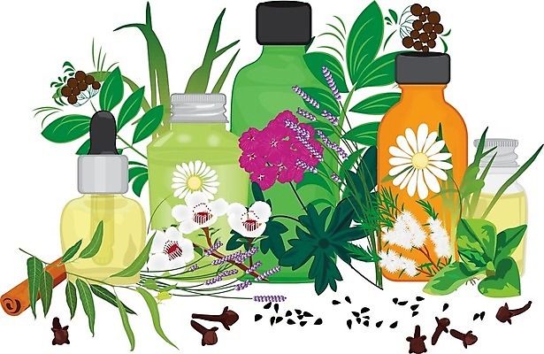 EPS 해외이미지 식물 디자인 꽃 잎 꽃무늬 일러스트 건강 씨앗 치료 초록색 세트 약 라벨 화장품 상품 약국 수집 허브 향신료 그림 유기농 향기 아로마 침엽수 성분 아로마테라피 내추럴 보충 바이오 유칼립투스 제라늄 채식주의자 해외202004 해외일러스트 나무 웰빙 컬러 무늬 의학 프레임 뷰티 채식 냄새 테라피 향미료 파일형식 벡터 이미지허브