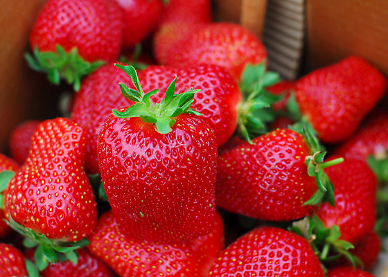 포토 JPG 해외이미지 계절 과일 딸기 건강 사람없음 빨간색 농장 주스 신선 칼로리 해외202004 해외포토 음료 컬러 농업 파일형식 이미지허브