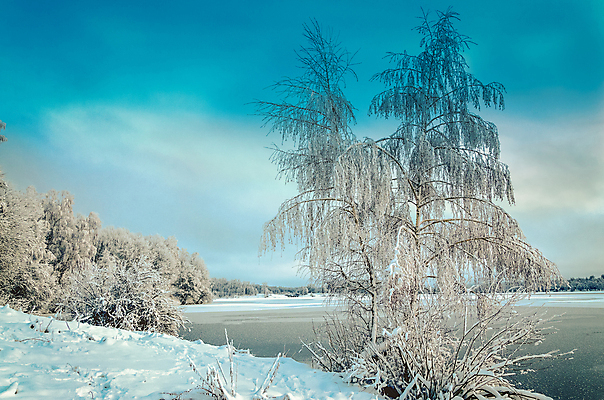 포토 JPG 해외이미지 나무 구름 계절 호수 여행 백그라운드 크리스마스 겨울 자연 벽지 하늘 휴식 풍경 사람없음 야외 물 반사 냉동 얼음 침묵 일몰 산책 추위 달력 흰색 연못 황무지 고독 저녁 신비 시원함 12월 크리스탈 서리 정사각형 장면 1월 해외202004 해외포토 자연요소 도형 식물 기념일 감정 컬러 컨셉 노을 소리 날짜 야간 광석 생태계 파일형식 이미지허브