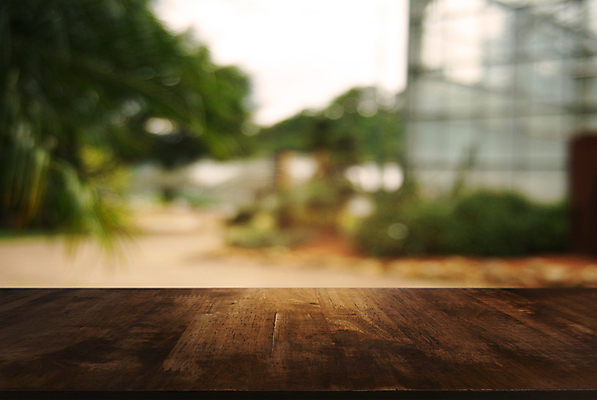 포토 JPG 해외이미지 나무 템플릿 디자인 공원 백그라운드 잎 자연 벽지 탁자 추상 사람없음 야외 목재 장식 초록색 여름 빛 태양 우주 정원 맑음 봄 수확 덮개 시골 널 상품 정상 소프트포커스 숲 갑판 계산대 책상 질감 복고 보케 내추럴 거짓 블러 해외202004 해외포토 자연요소 식물 계절 공공시설 컬러 가구 무늬 농업 배_교통 재료 날씨 촬영기법 뚜껑 생태계 파일형식 이미지허브