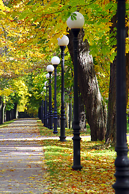 포토 JPG 해외이미지 나무 식물 계절 공원 도로 길 단풍 잎 오렌지 자연 조명 풍경 사람없음 야외 빨간색 초록색 빛 노란색 걷기 침묵 가을 나뭇가지 램프 황금 숲 오솔길 장면 해외202004 해외포토 공공시설 컬러 과일 교통시설 모션 소리 생태계 파일형식 이미지허브