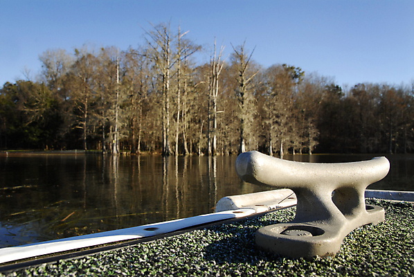 포토 JPG 해외이미지 나무 하늘 사람없음 초록색 물 파란색 봄 다이빙 플로리다 해외202004 해외포토 자연요소 식물 계절 컬러 수영 미국 수중스포츠 파일형식 이미지허브