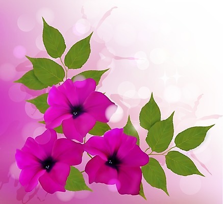 EPS 해외이미지 식물 디자인 배너 꽃 행복 분홍색 꽃다발 백그라운드 잎 꽃무늬 일러스트 자연 아침 휴가 선물 초록색 컬러풀 정원 보라색 공백 성장 벚꽃 흰색 신용카드 개화 닫기 다발 유기농 많음 해외202004 해외일러스트 주간 웰빙 감정 컬러 컨셉 무늬 모션 금융 생태계 파일형식 벡터 이미지허브