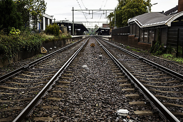 포토 JPG 해외이미지 나무 산업 도로 길 선 여행 백그라운드 컨셉 오렌지 교통시설 모션 자연 하늘 풍경 사람없음 야외 초록색 빛 태양 일출 금속 황혼 일몰 기차 수확 흰색 터널 숲 방향 철 속도 트랙 장면 방법 블러 선로 옛날 철강 수평선 해외202004 해외포토 자연요소 식물 육상교통 컬러 교통 농업 과일 재질 대중교통 노을 시설 생태계 파일형식 이미지허브