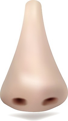 EPS 해외이미지 모양 1 디자인 얼굴 백그라운드 신체 일러스트 부분 해부 사람 그래픽 파란색 약 우주 봄 맛 약국 향수 오브젝트 호기심 서식 코 향기 냄새 아로마 분무기 악취 알레르기 고립 전국 현실 해외202004 해외일러스트 계절 감정 컬러 컨셉 의학 신체부위 화장품 질병 파일형식 벡터 이미지허브