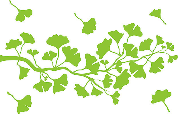 EPS 해외이미지 모양 나무 식물 계절 실루엣 선 백그라운드 잎 꽃무늬 일러스트 자연 추상 건강 미술 그래픽 초록색 약 봄 흰색 나뭇가지 허브 그림 윤곽 고립 해외202004 해외일러스트 꽃 컬러 무늬 의학 문화예술 촬영기법 생태계 파일형식 벡터 이미지허브