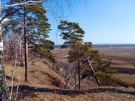 포토 JPG 해외이미지 산 사람없음 목재 가을 러시아 해외202004 해외포토 나무 계절 유럽 재료 파일형식 이미지허브