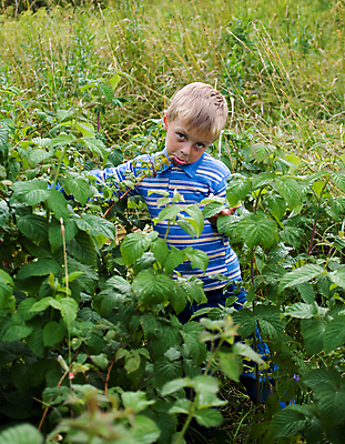 포토 JPG 해외이미지 백인 행복 어린이 잎 자연 휴식 한명 사람 소년 야외 금발 산책 시골 시력 해외202004 해외포토 서양인 식물 1 헤어스타일 남자 감정 컨셉 생태계 파일형식 이미지허브
