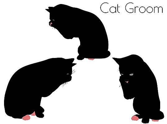 EPS 해외이미지 모양 동물 실루엣 포즈 일러스트 포유류 자연 그림자 사람없음 그래픽 반려동물 검은색 고양이 호랑이 사자 스케치 흰배경 윤곽 표범 고립 엘리먼트 재규어 스라소니 해외202004 해외일러스트 컬러 백그라운드 촬영기법 미술 흰색 생태계 파일형식 벡터 이미지허브