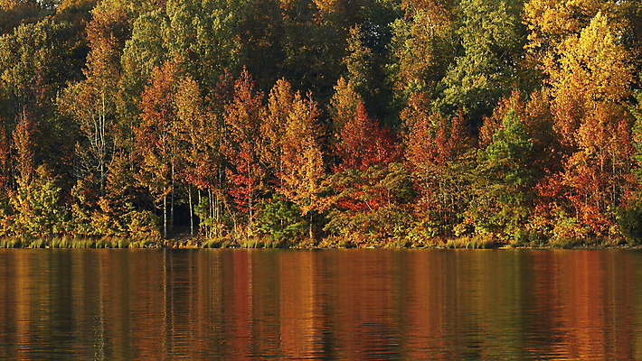 포토 JPG 해외이미지 나무 계절 공원 지구 호수 잎 오렌지 자연 풍경 사람없음 야외 빨간색 물 강 노란색 여행객 환경 침묵 가을 황무지 보호 숲 9월 장면 멀리 10월 해외202004 해외포토 자연요소 식물 공공시설 컬러 컨셉 과일 사람 소리 날짜 생태계 파일형식 이미지허브