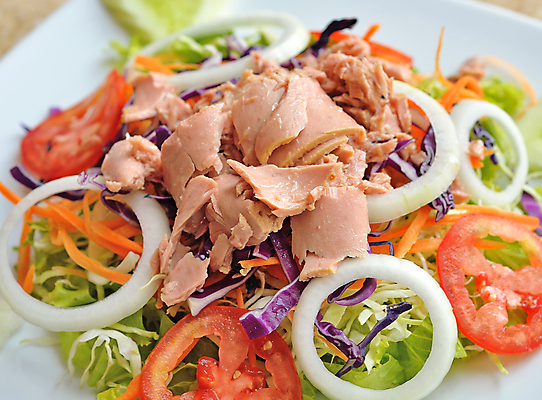 포토 JPG 해외이미지 접시 음식 조각 백그라운드 다이어트 토마토 채소 부분 양파 오이 건강 3 어류 요리 사람없음 가로 빨간색 초록색 계란 저녁식사 이탈리아 샐러드 흰색 신선 상추 참치 먹기 유기농 슬라이스 내추럴 삶기 섞기 오메가 채식주의자 해외202004 해외포토 식기 웰빙 유럽 컬러 모션 알 식사 수중동물 채식 파일형식 이미지허브