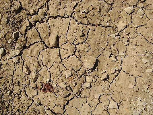 포토 JPG 해외이미지 지구 사람없음 균열 질감 소금 땅바닥 해외202004 해외포토 모션 바닥 파일형식 이미지허브